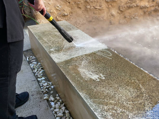 Best Best Pressure Washing Companies  in Thonotosassa, FL