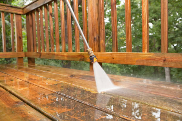 Best Garage Pressure Washing  in Thonotosassa, FL