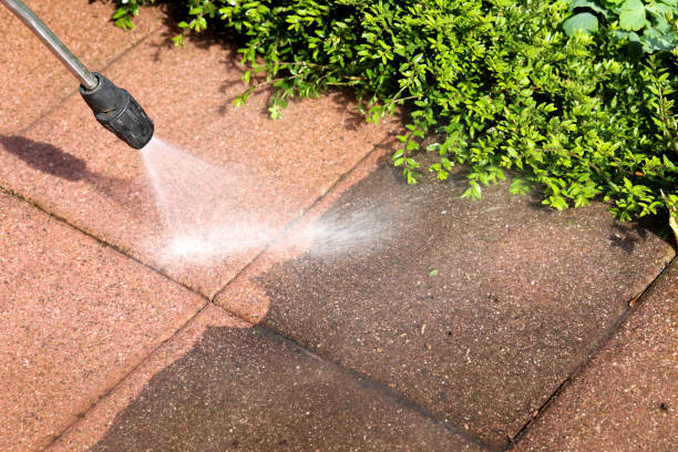Best Roof Power Washing Services  in Thonotosassa, FL